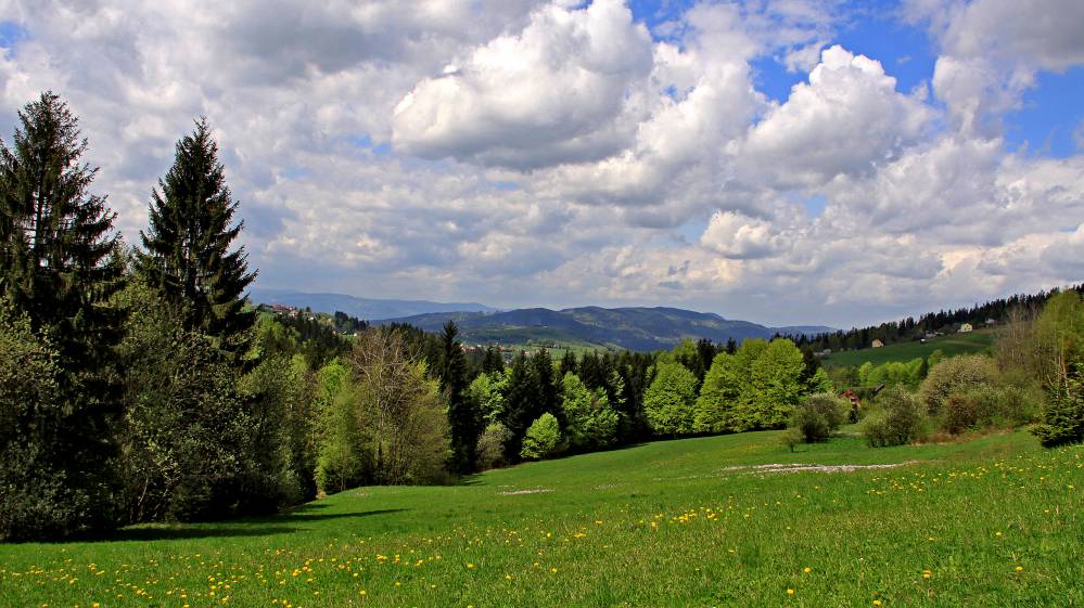 istebna